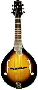 Gold Tone GM-6 six tring mandolin plays like a guitar "Manditar"