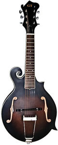 Gold Tone 'F-6' 6-String F-Style Mandolin/Guitar  "Manditar"