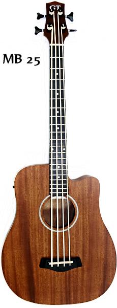 Gold Tone 'M-Bass25' Acoustic/Electric MicroBass