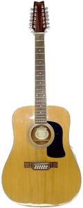 Washburn D12S12  - Twelve String Dreadnot 